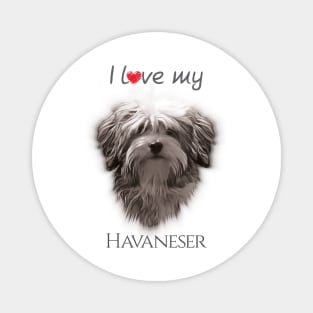 I love my Havanese Magnet